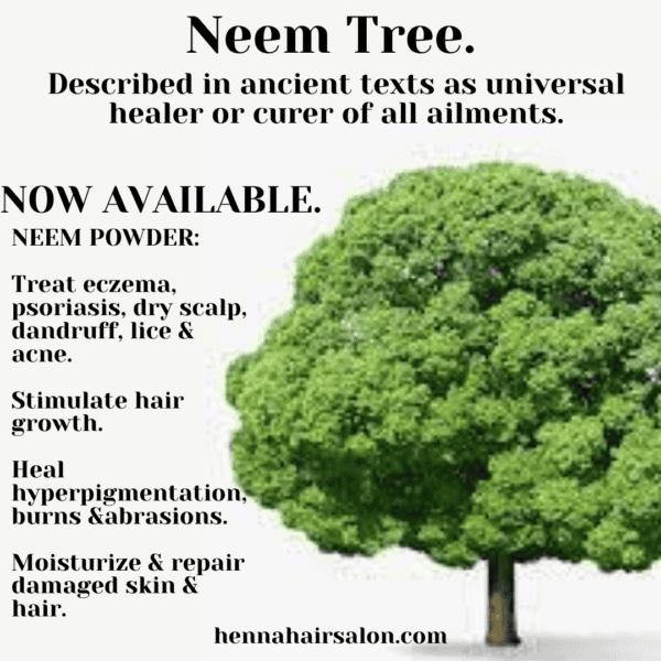Organic Neem powder 100g